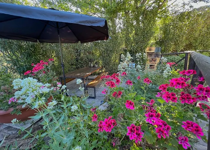 Appartement La Palma Marina di Campo