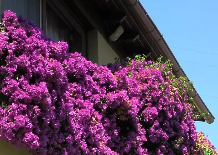 Appartement La Palma *