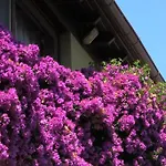 Apartment La Palma *