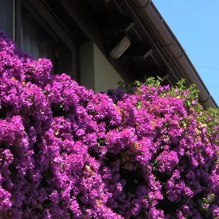 Apartament La Palma *